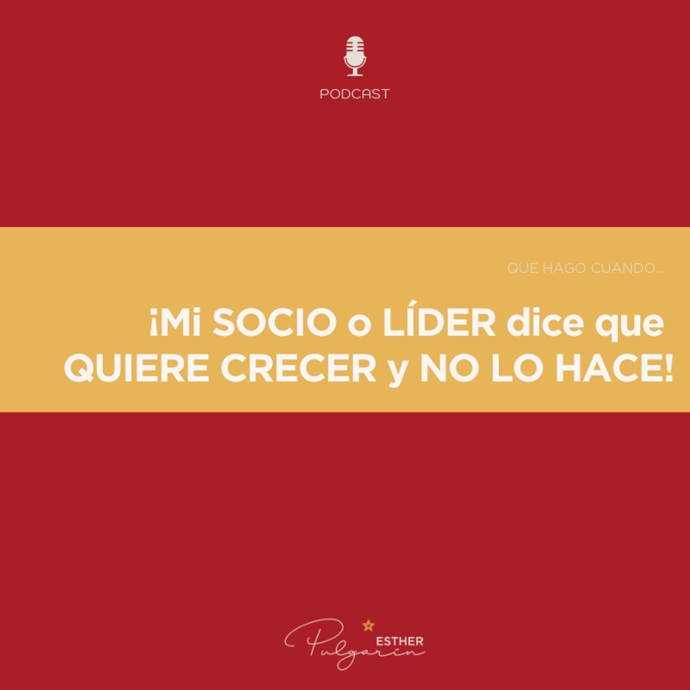 Tejiendo Redes