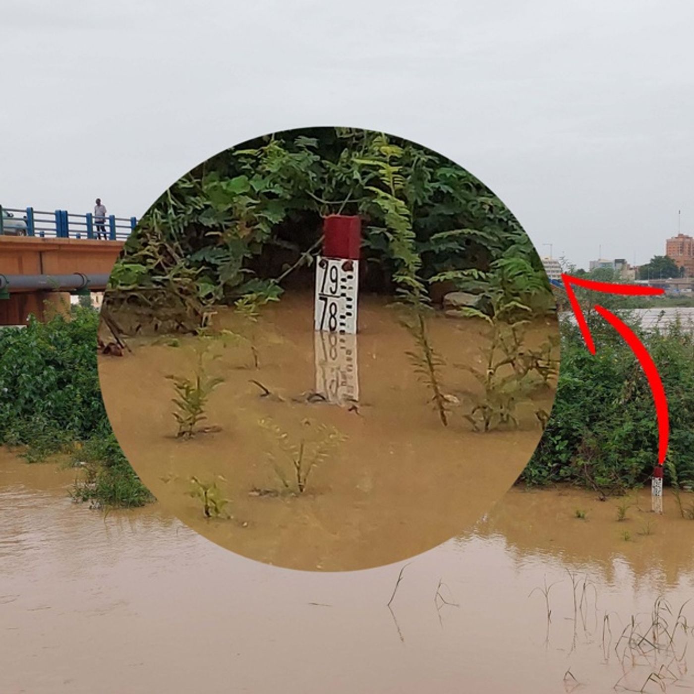 La crue du fleuve Niger fait des dégâts episode artwork