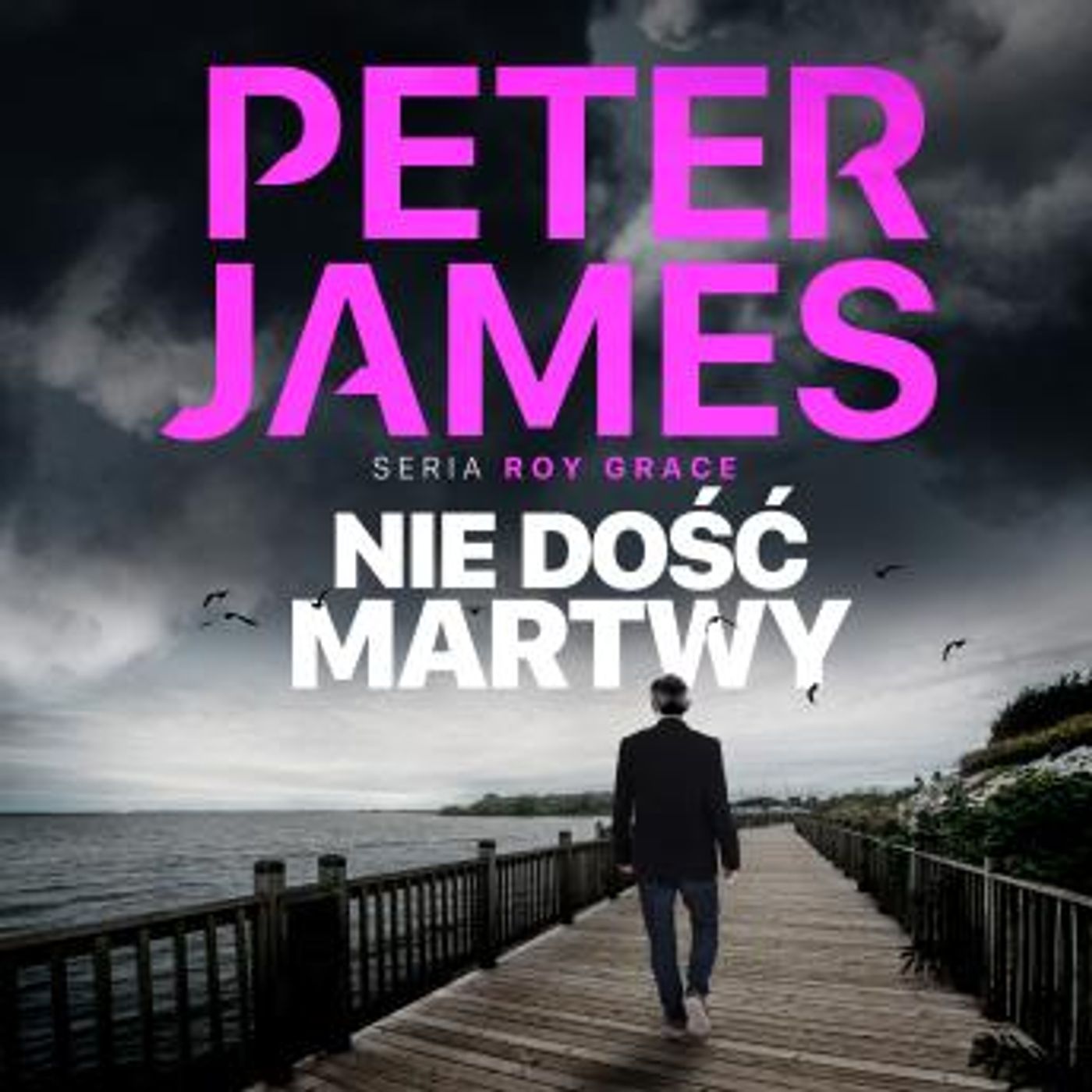 [Polish] - Nie dość martwy by Peter James episode artwork