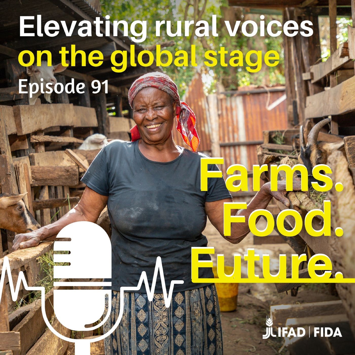 Elevating rural voices on the global stage episode artwork