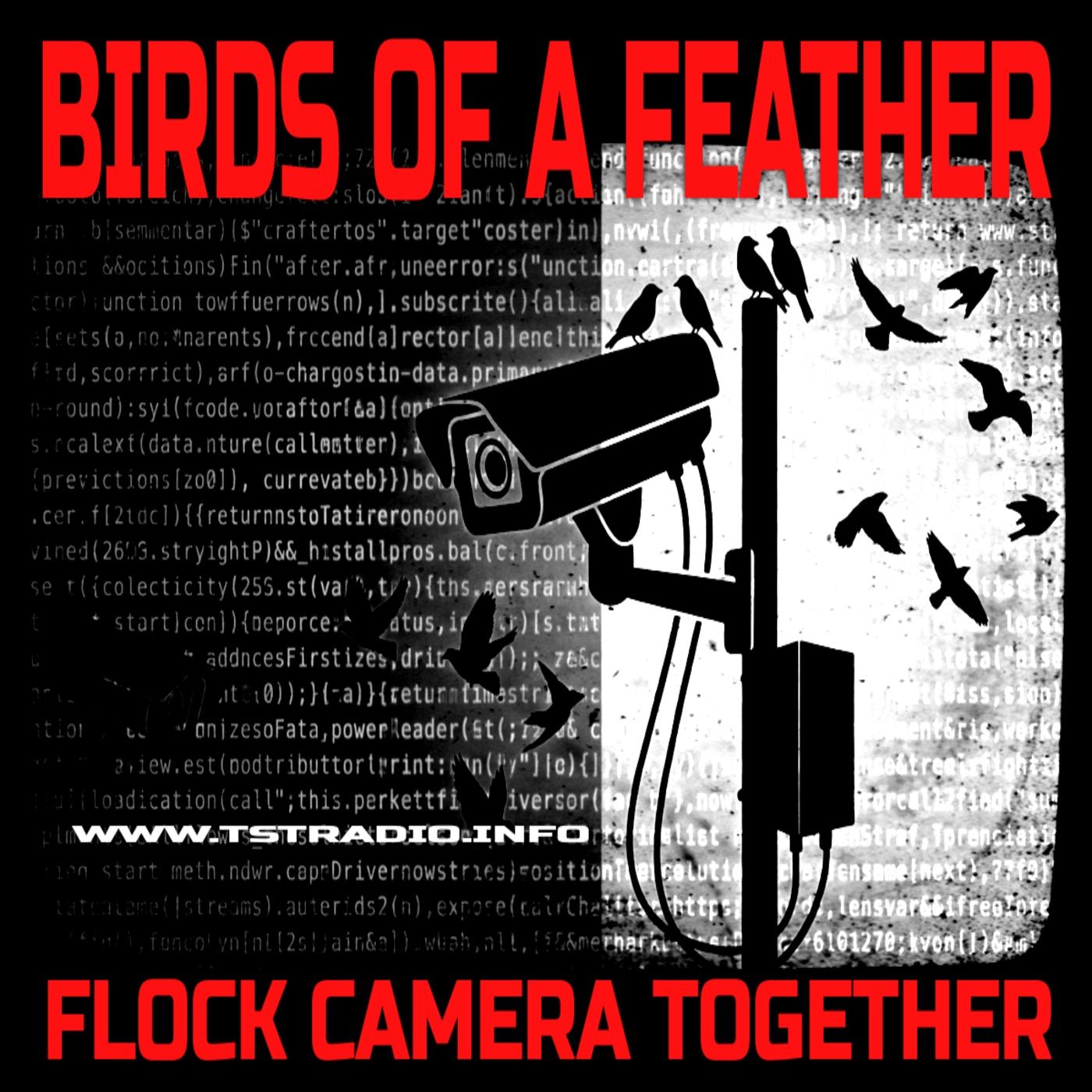 Birds of a Surveillance Feather FLOCK CAMERA Together (July 14, 2026)
