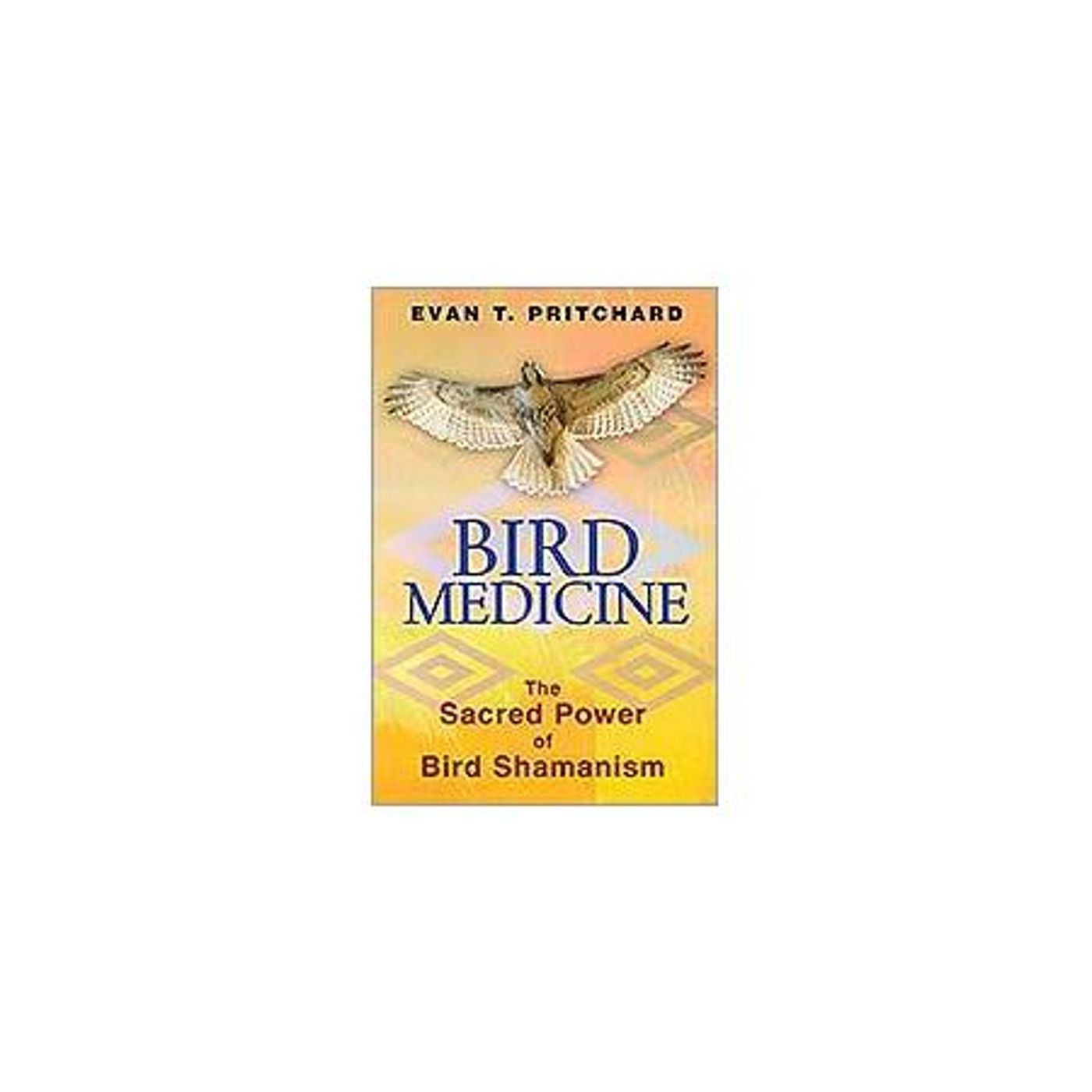 Bird Medicine:  The Sacred Power of Bird Shamanism