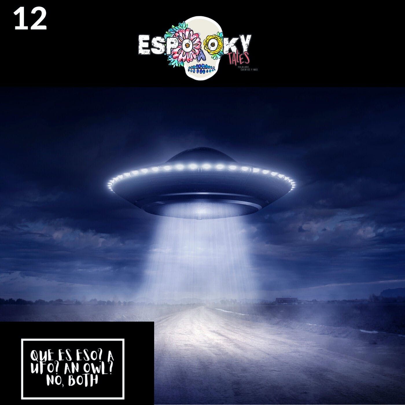 Que es eso (what is that)? A UFO? An owl? No, BOTH.