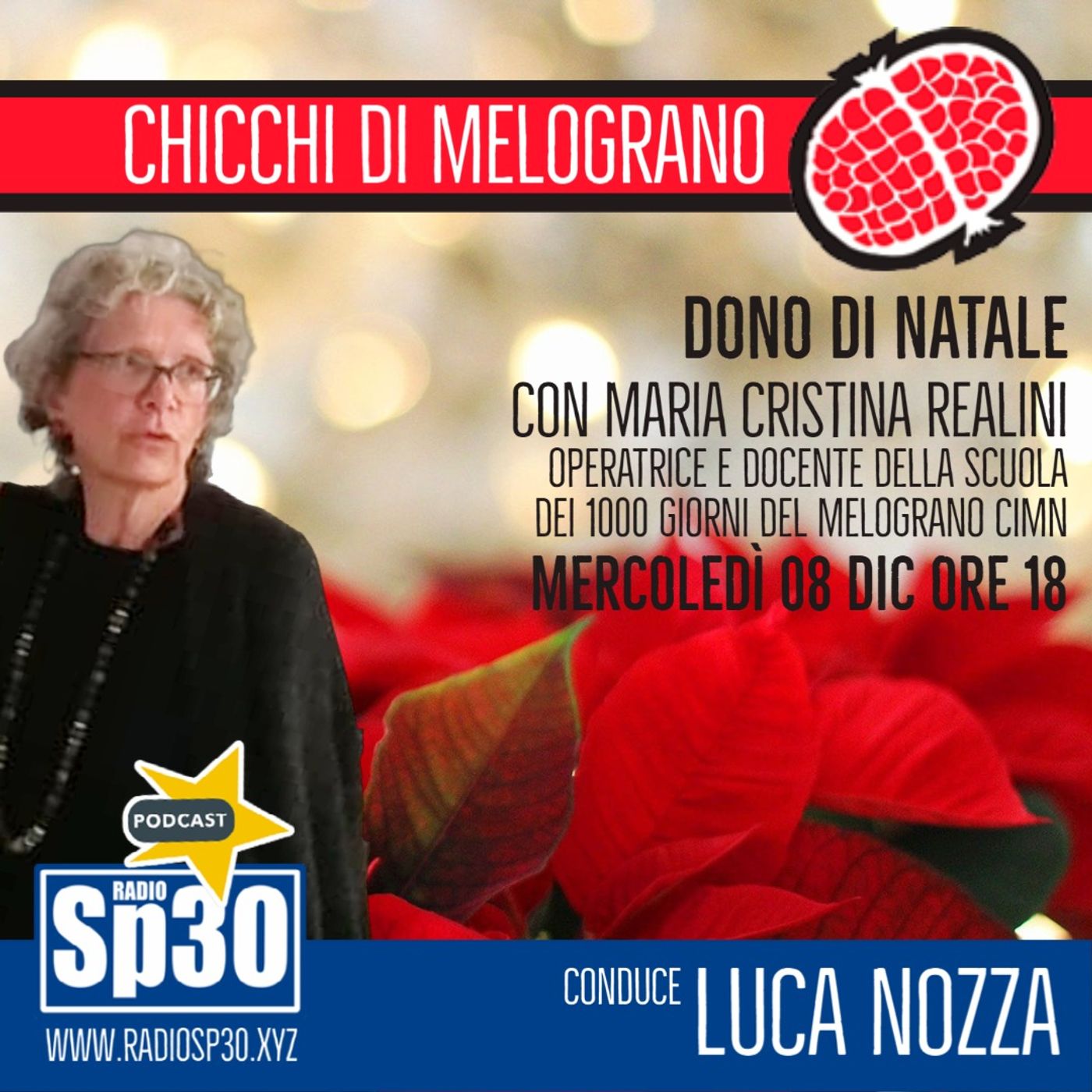 Chicchi di Melograno - Dono di Natale Chicchi di Melograno - Dono di Natale