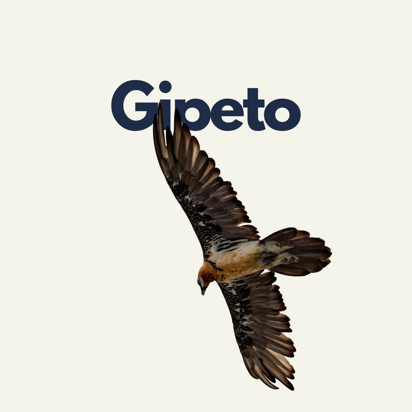 249 - Fuori Traccia: Gipeto | Claudio Ghizzo