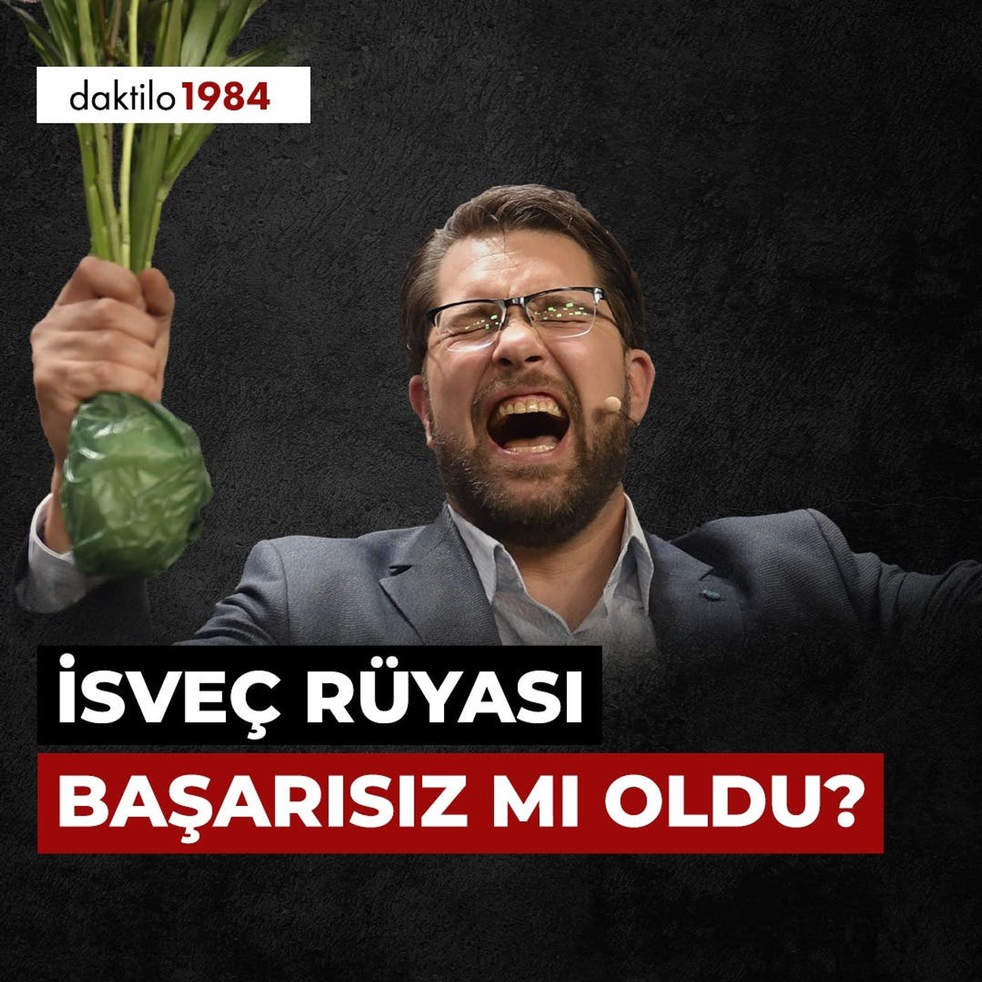 İsveç Rüyası Başarısız mı Oldu? | Özge Öner | Berlin Duvarı #27 episode artwork