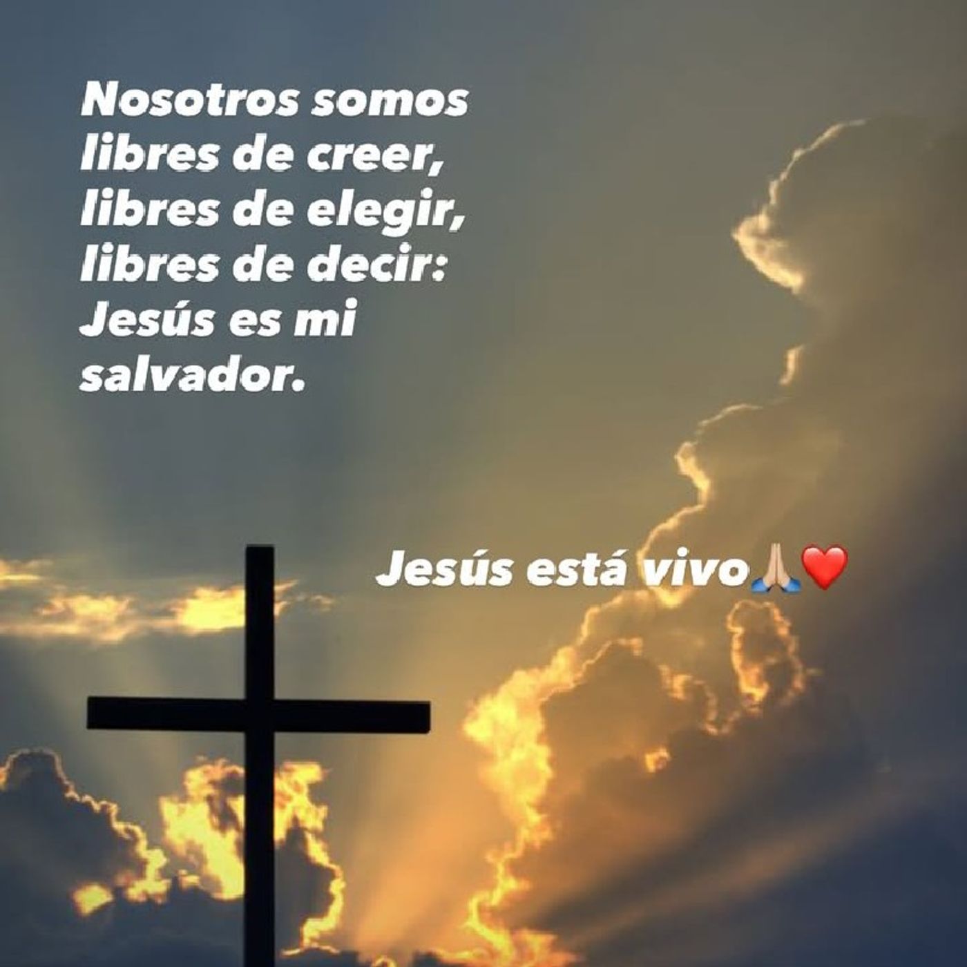 Episodio 40 - "De la Cruz a mi vida "