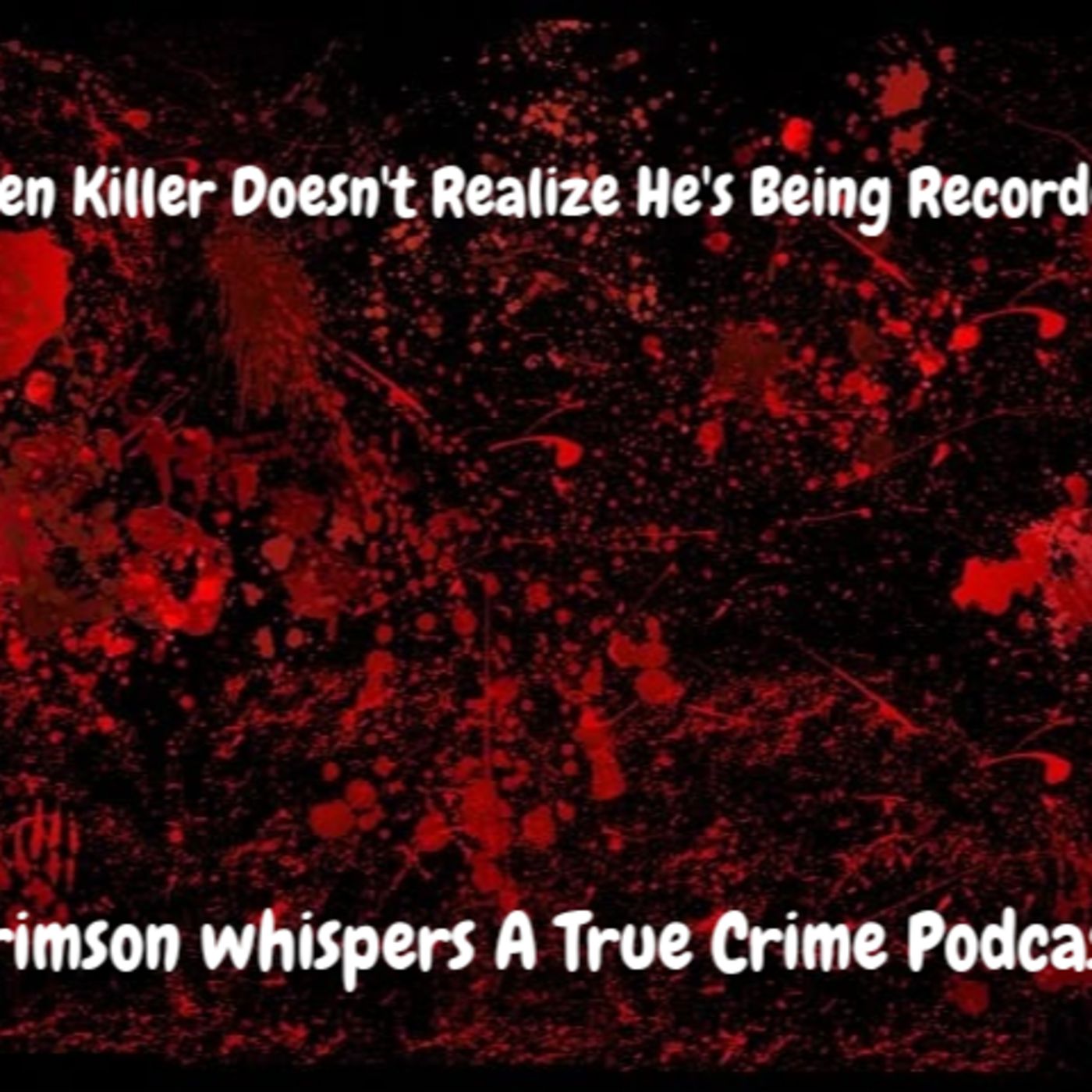 Teen Killer Doesn't Realize He's Being Recorded episode artwork