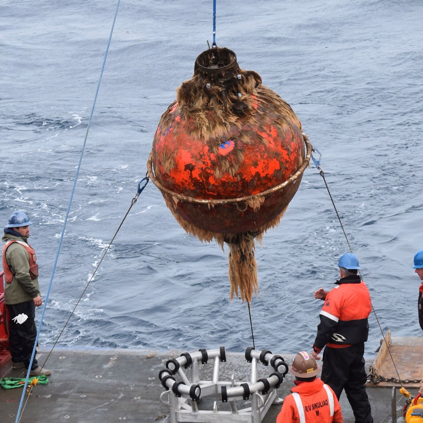 Trump administration dismantles ambitious ocean monitoring program episode artwork