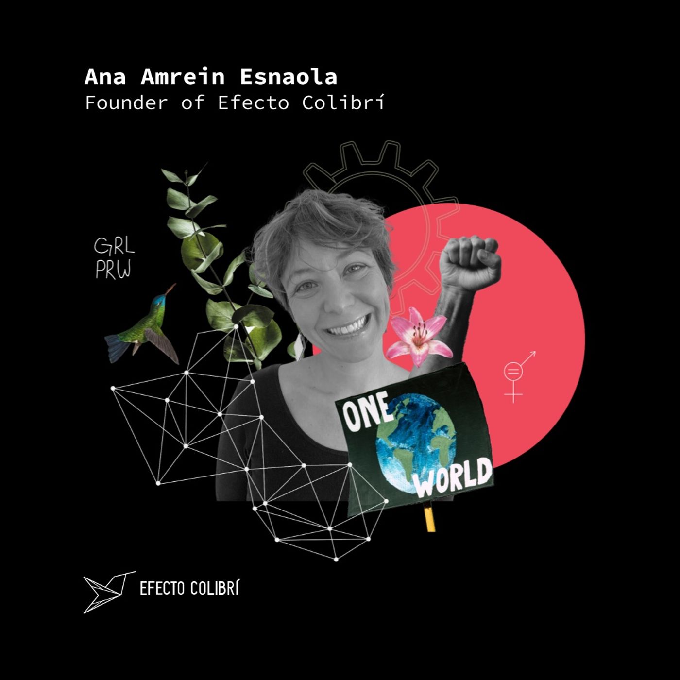 Proyecto Co