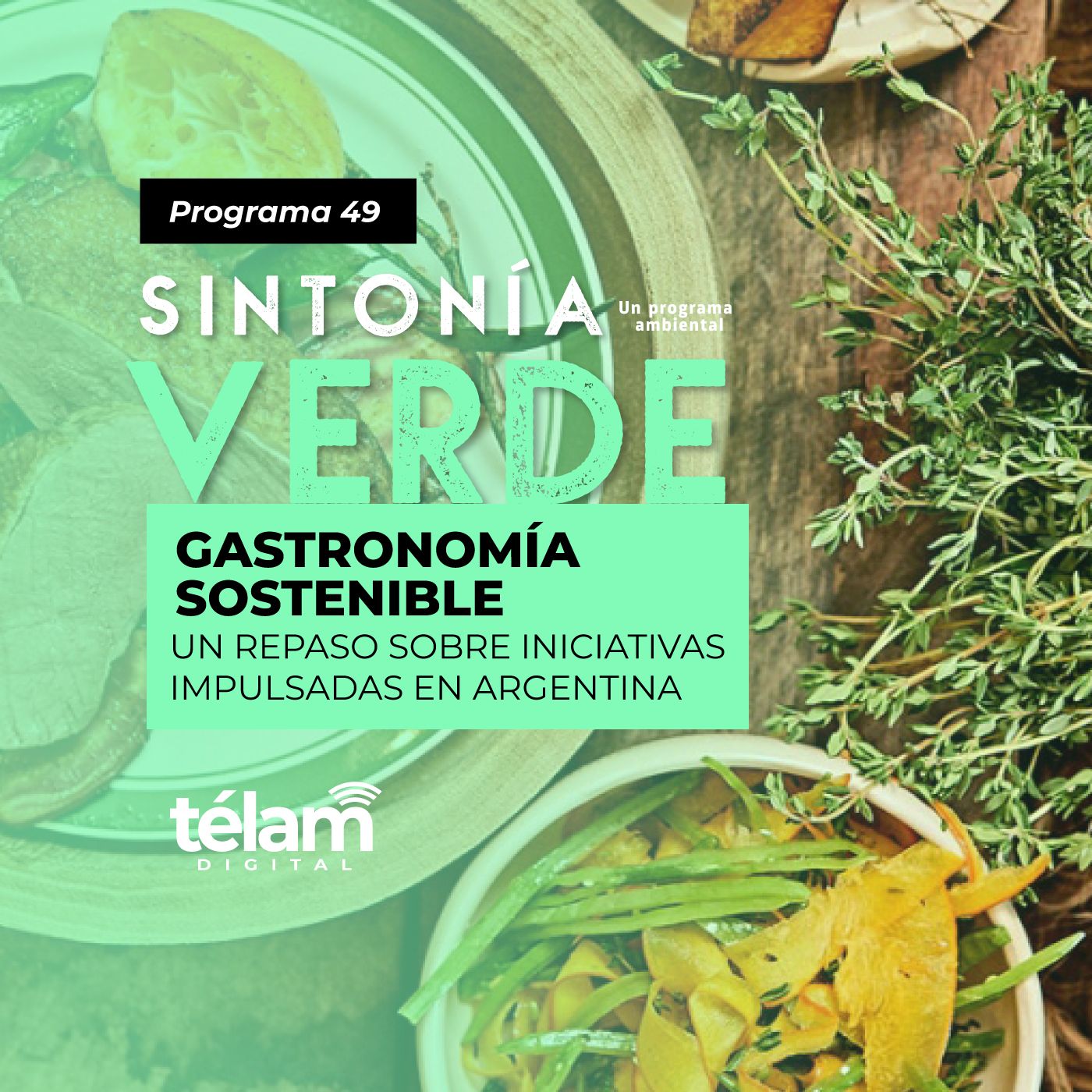 Sintonía Verde, un programa ambiental