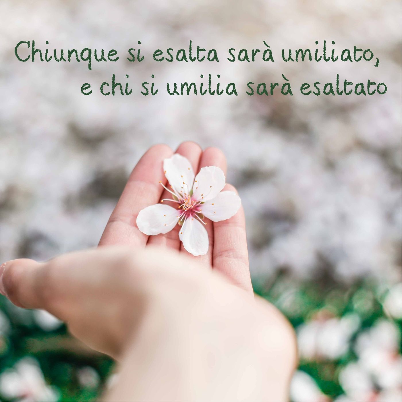 Commenti al Vangelo