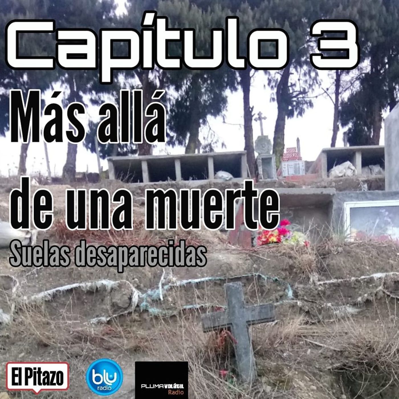 Pluma Volátil Radio