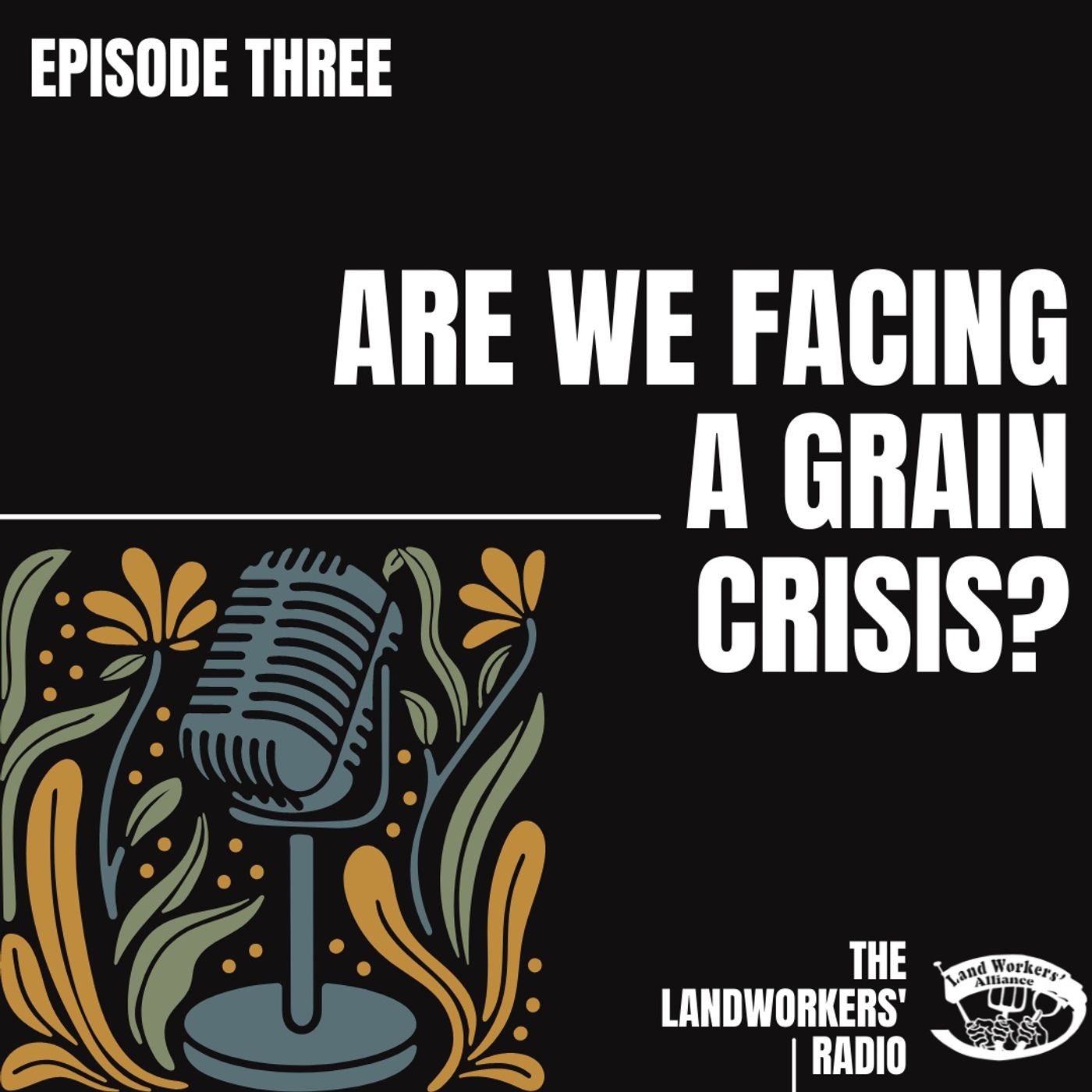 Are we facing a grain crisis? Are we facing a grain crisis?