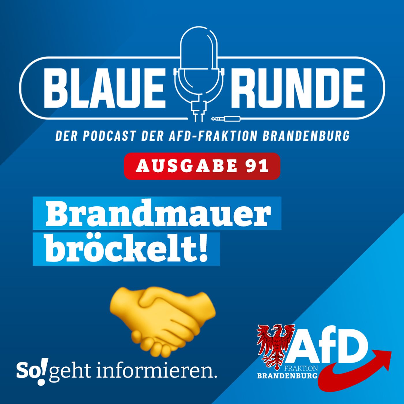 Die Blaue Runde - der Podcast der AfD-Fraktion Brandenburg