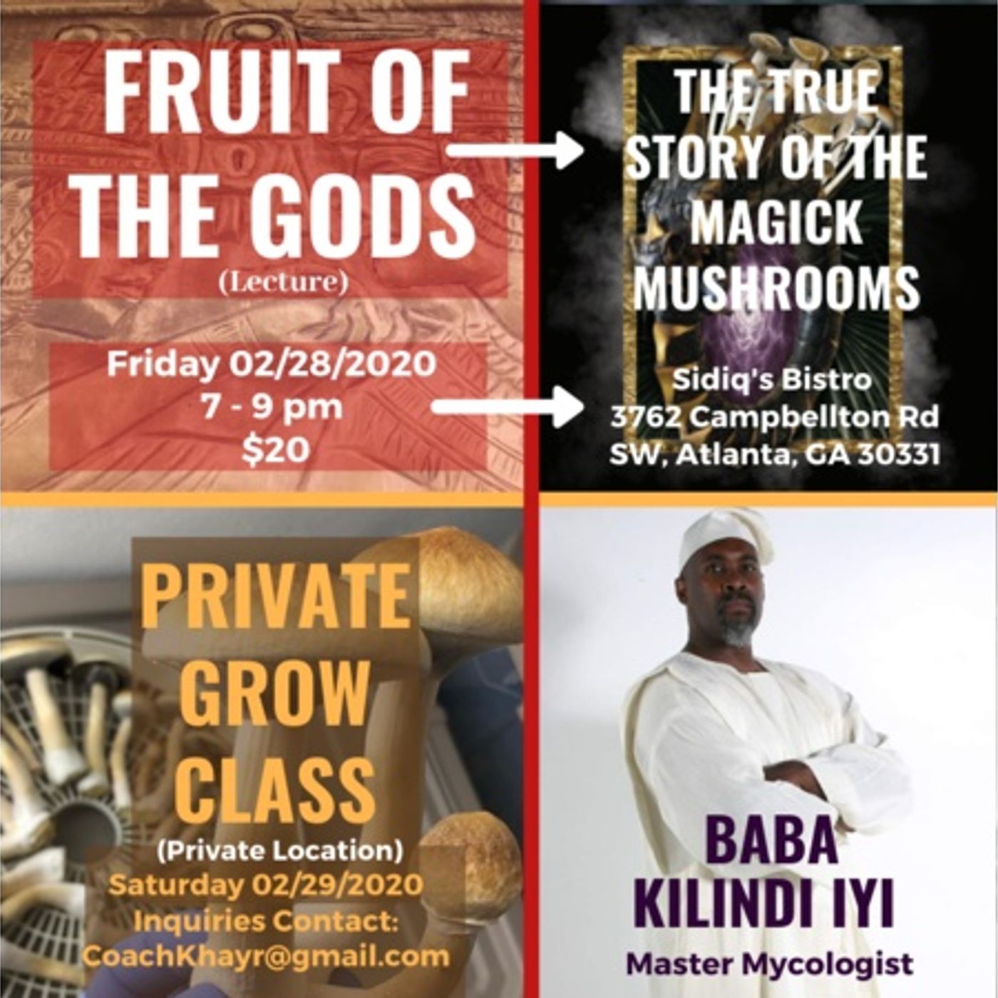 Stars, F.R.O.G.s and Mushrooms