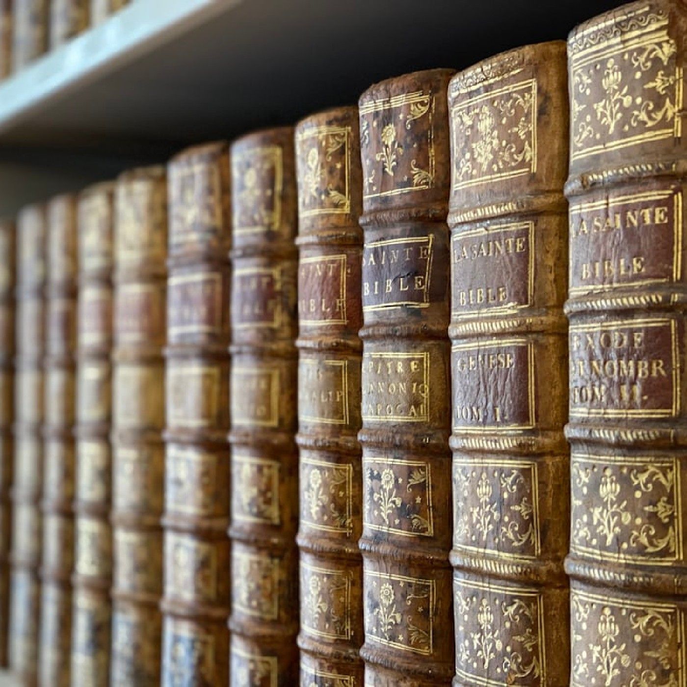 Ludwig Biblical & Theology. Reflexions