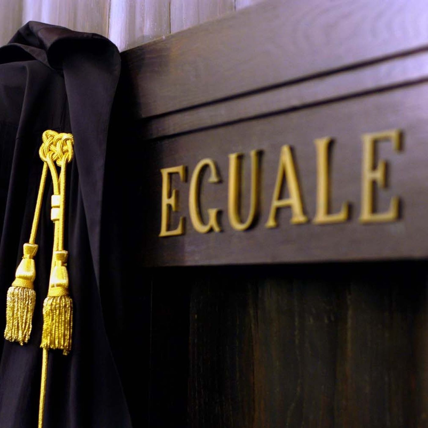 11 la legge è uguale per tutti Trilussa episode artwork