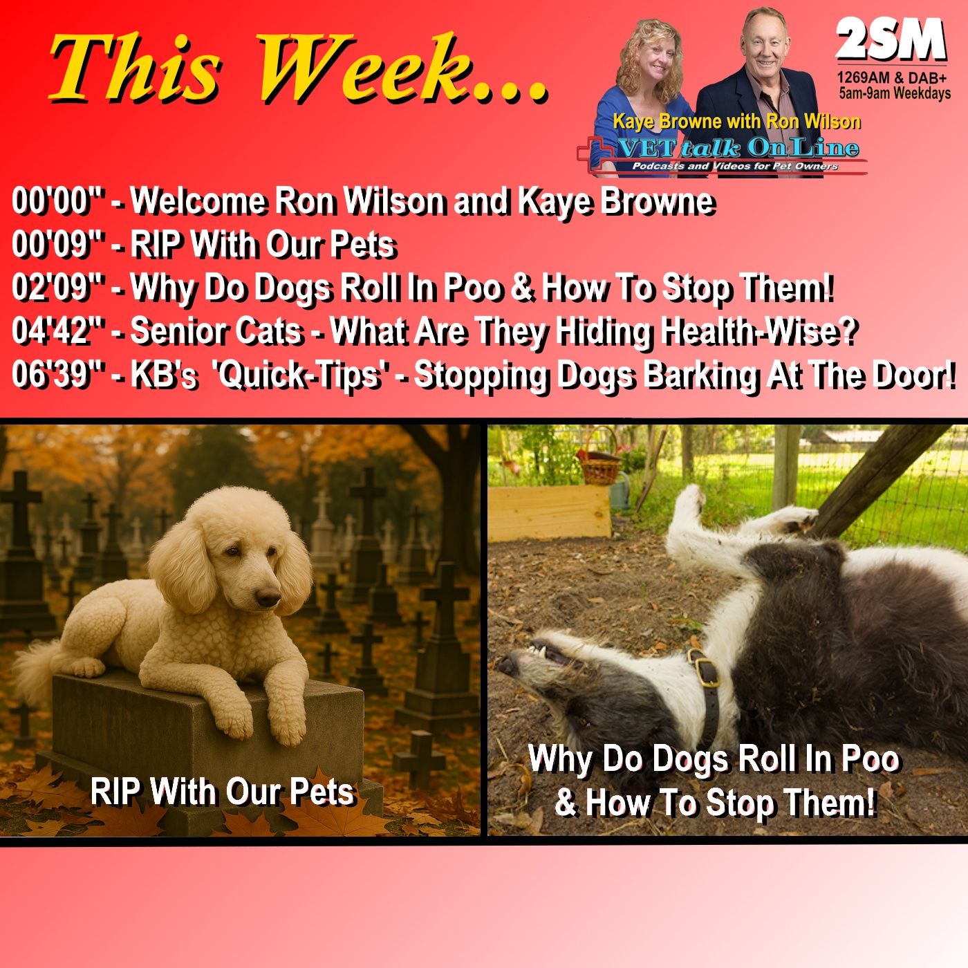 VETtalk Radio Podcasts