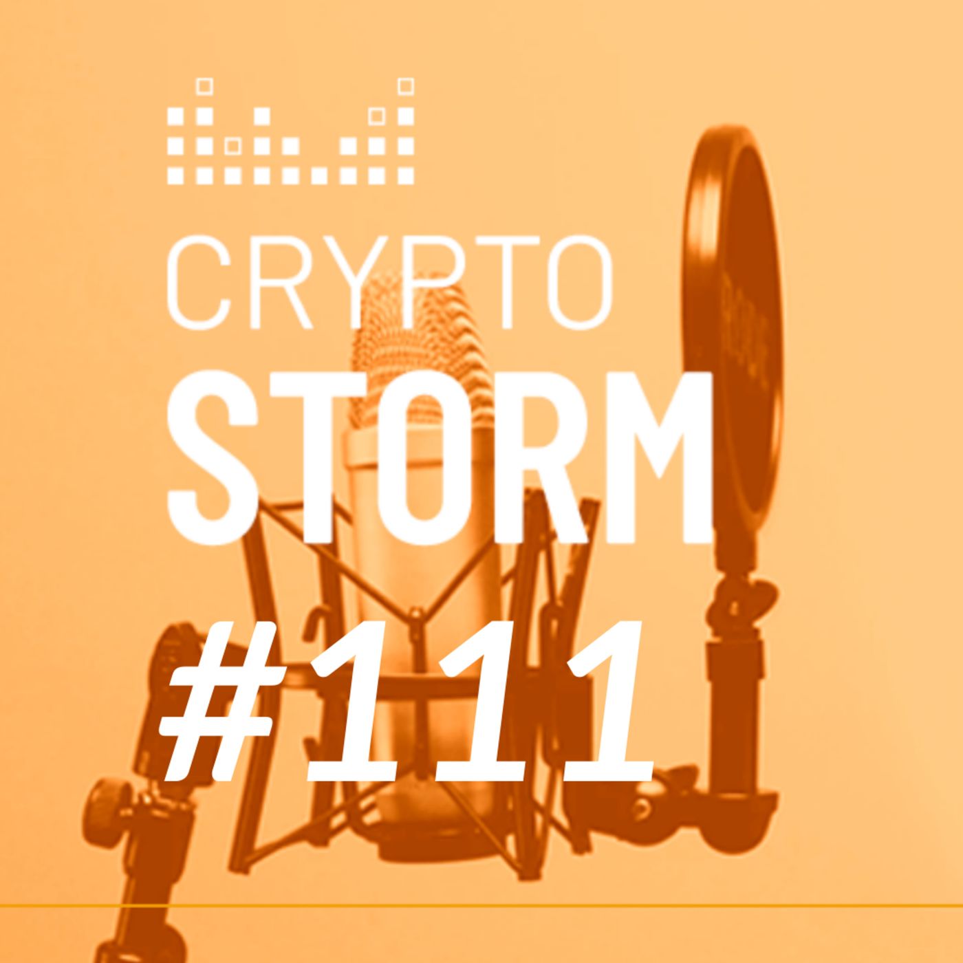 Crypto Storm