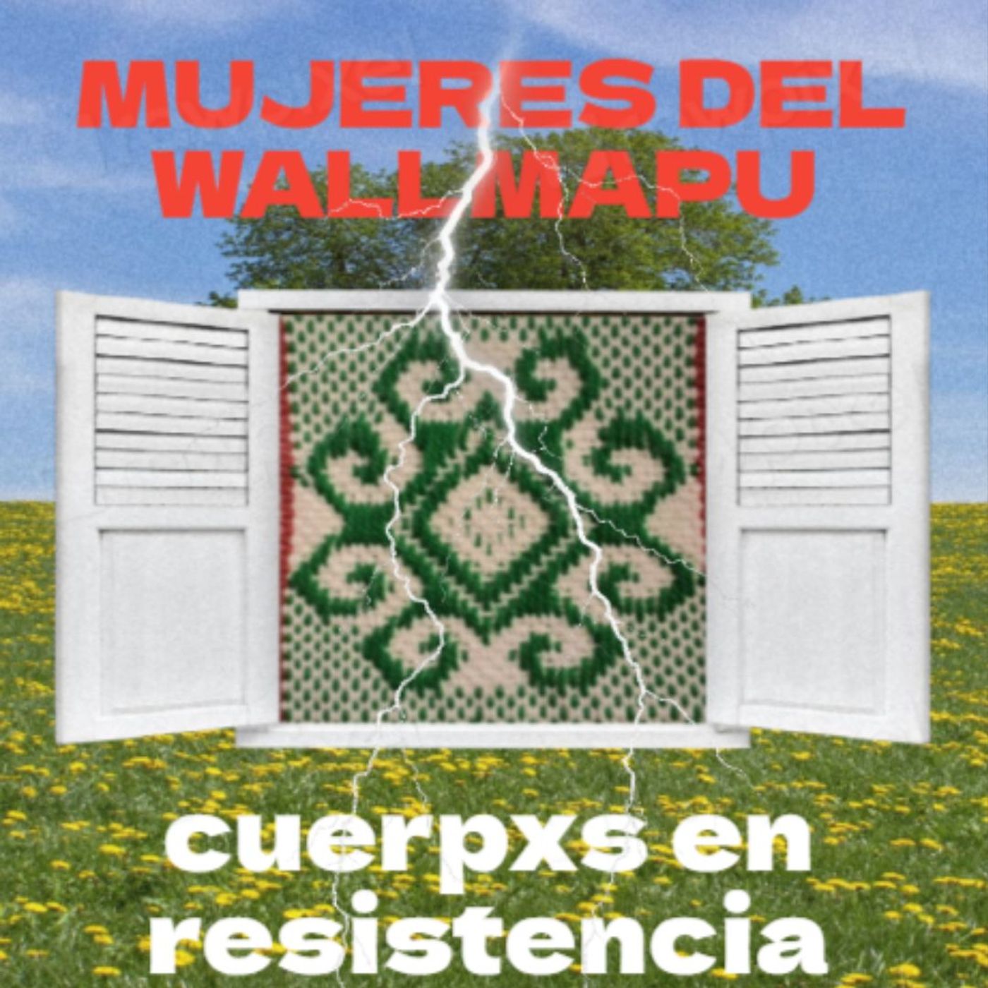 Mujeres del Wallmapu: cuerpos en resistencia