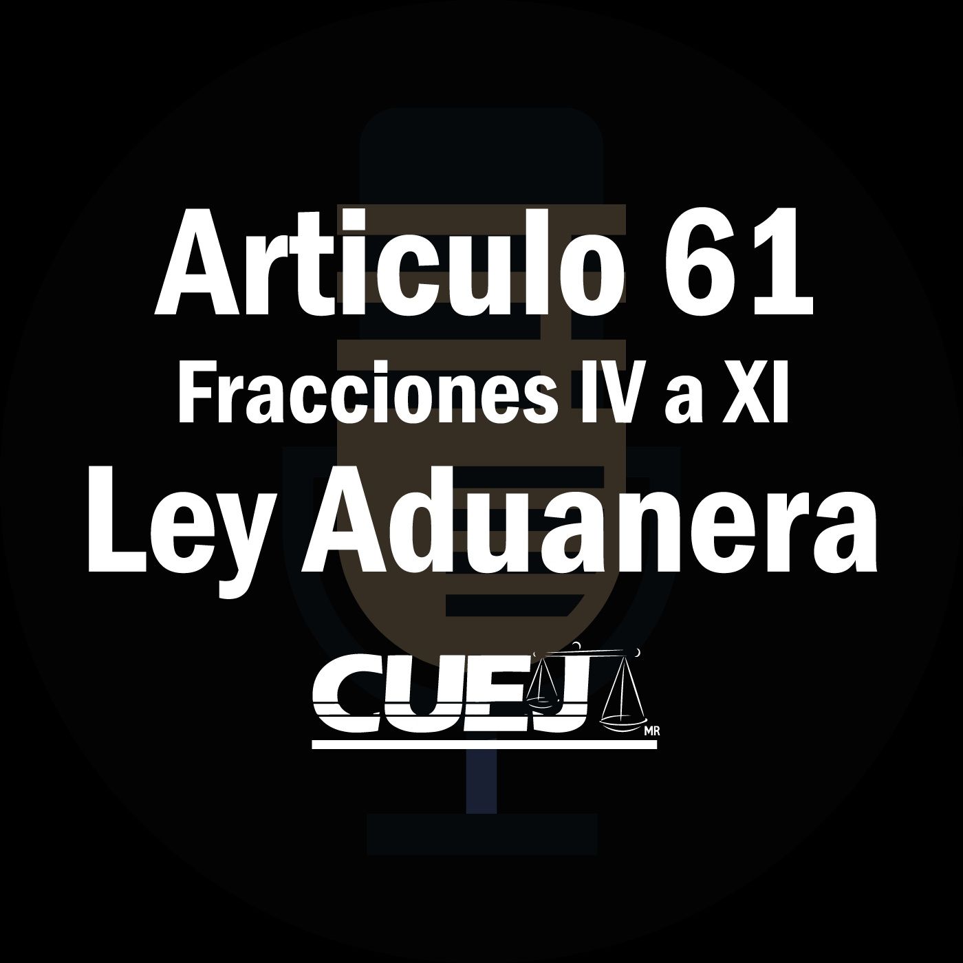 Audio Ley Aduanera