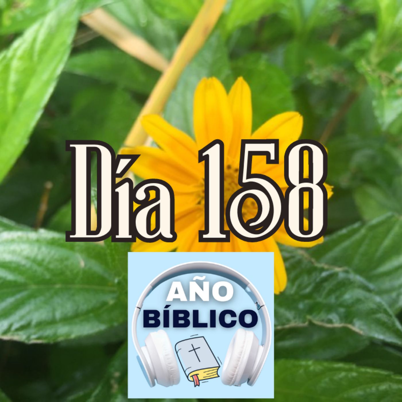 Día 158 - Salmos 69:16-18, 1 Reyes 19-20 y Hechos 23:1-11 episode artwork