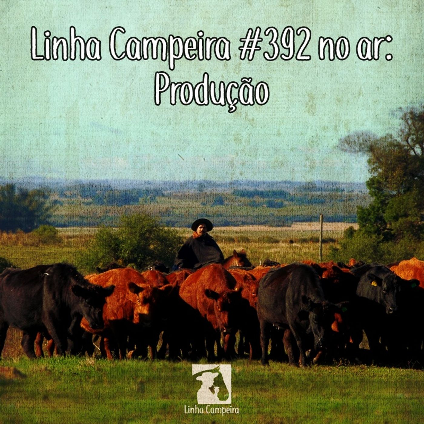Linha Campeira