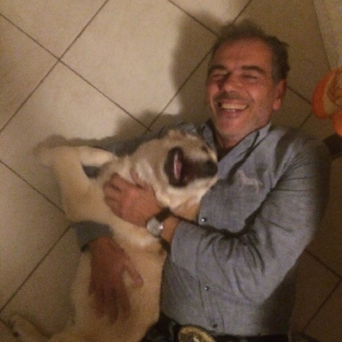 L\'umano dalla parte del cane