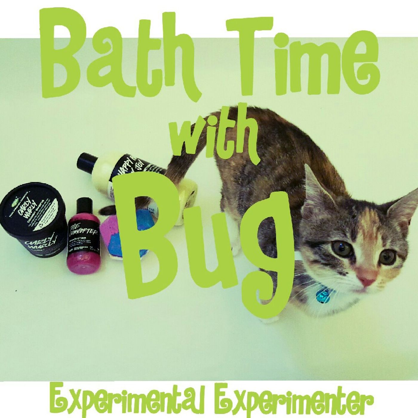 Experimental Experimenter