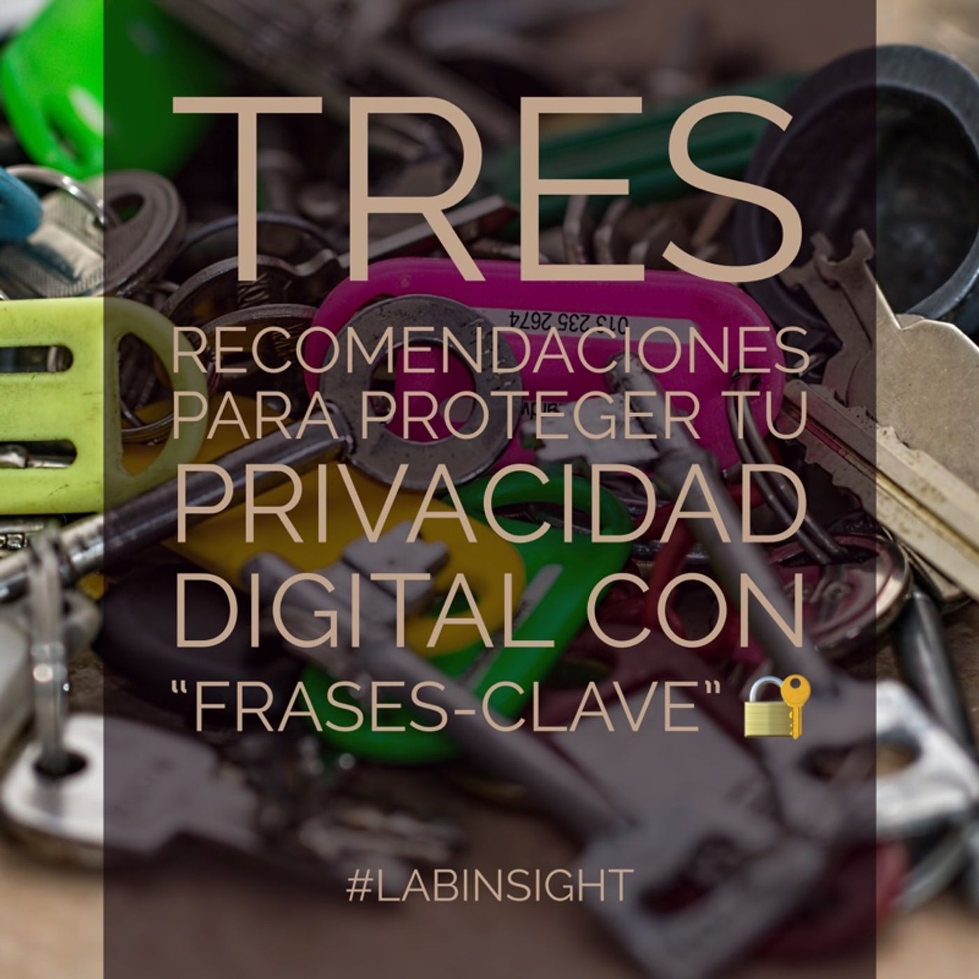 LabInsight