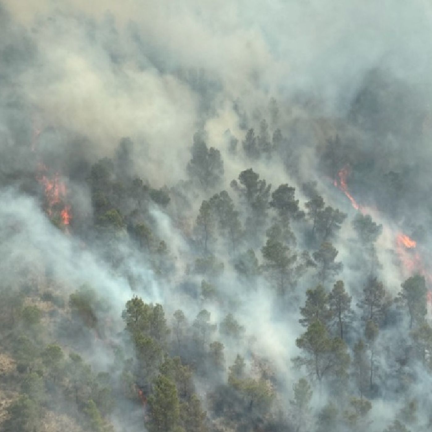 En Clave Rural: Llega el verano y el riesgo de incendios forestales episode artwork