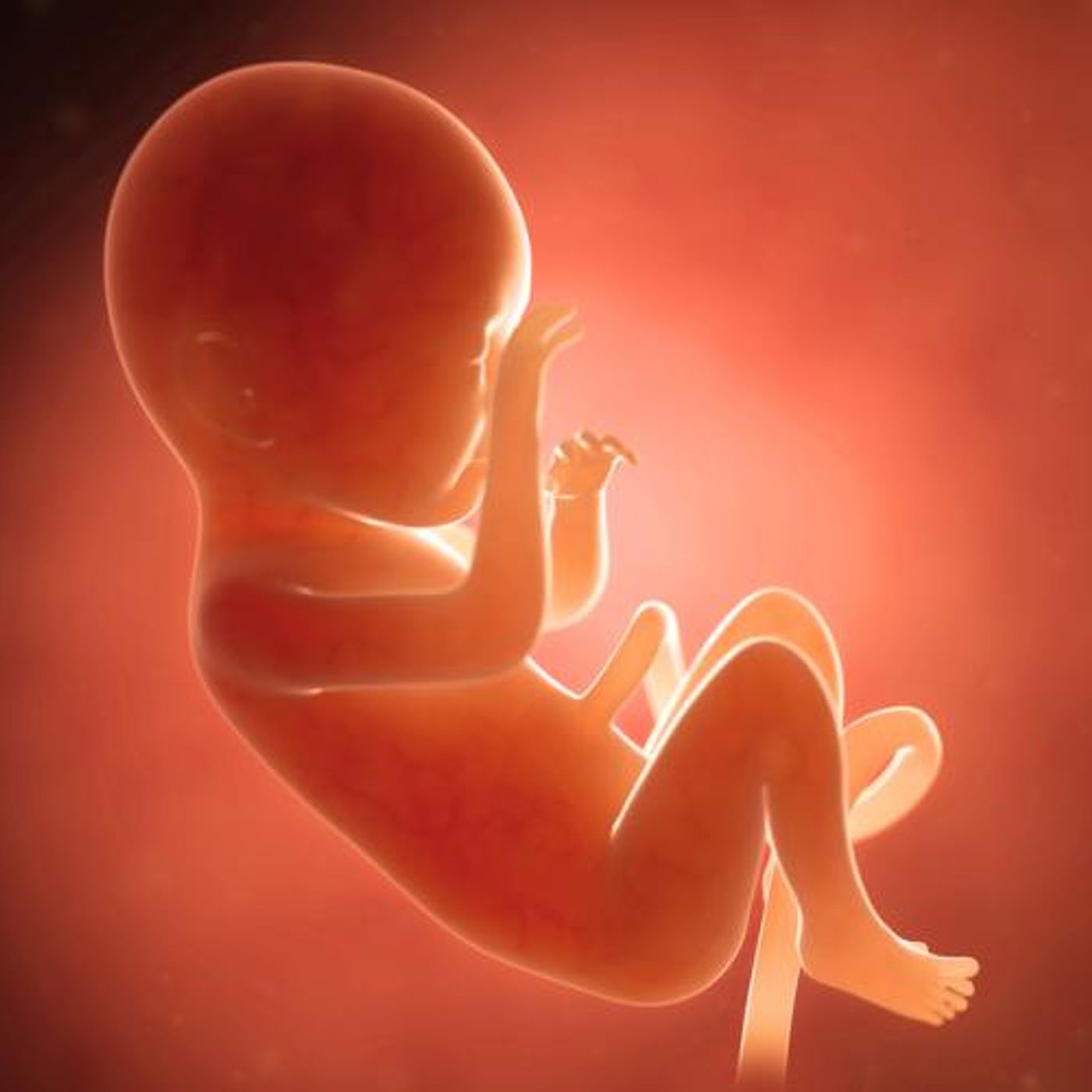 Episode 5- Is Abortion Murder? episode artwork
