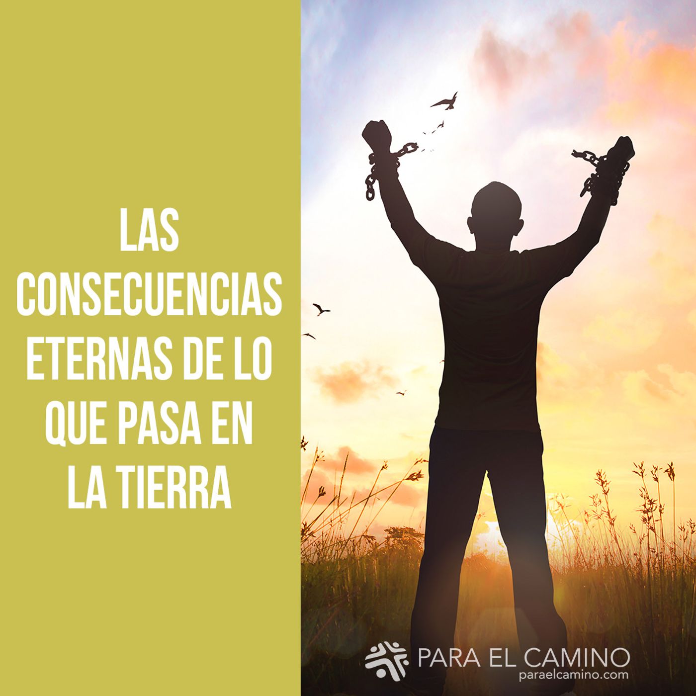 Las consecuencias eternas de lo que pasa en la tierra Las consecuencias eternas de lo que pasa en la tierra