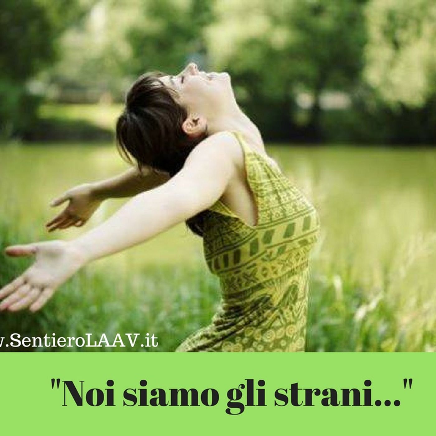 Noi siamo gli strani episode artwork