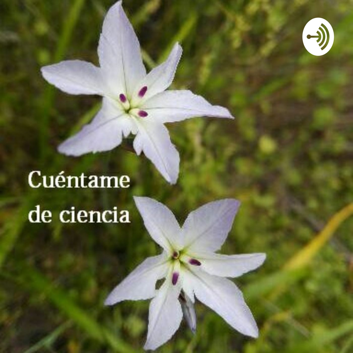 Cuéntame de Ciencia