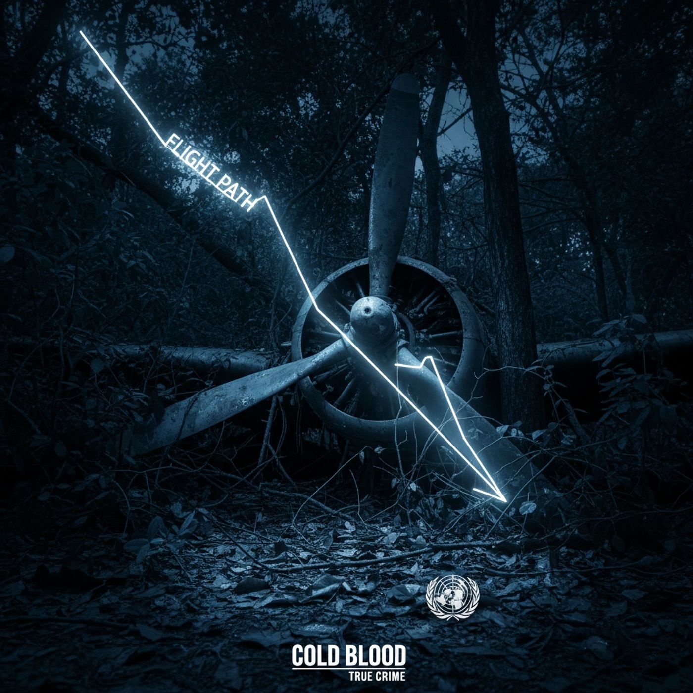 The Dag Hammarskjöld Crash episode artwork