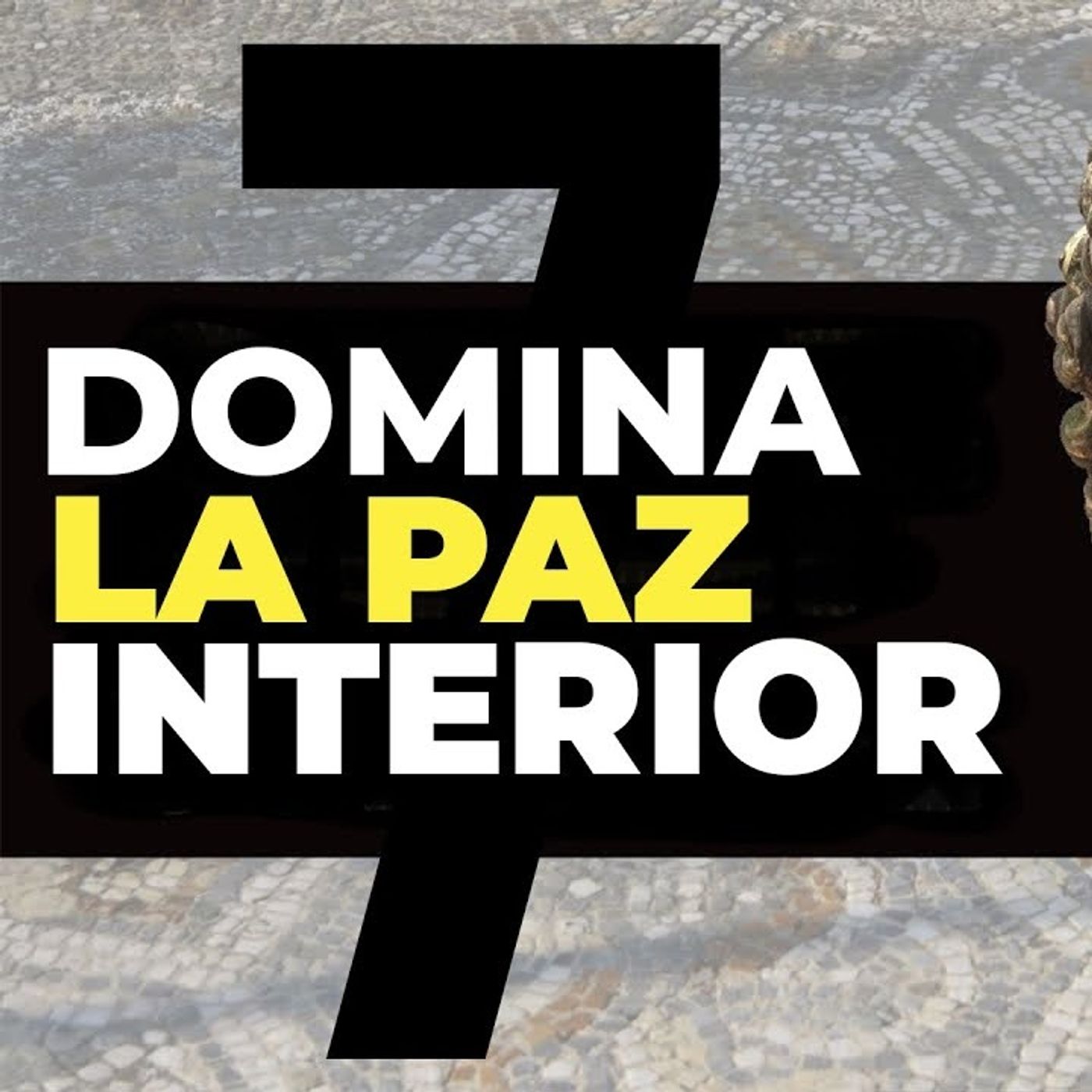 El Diario de un Estoico