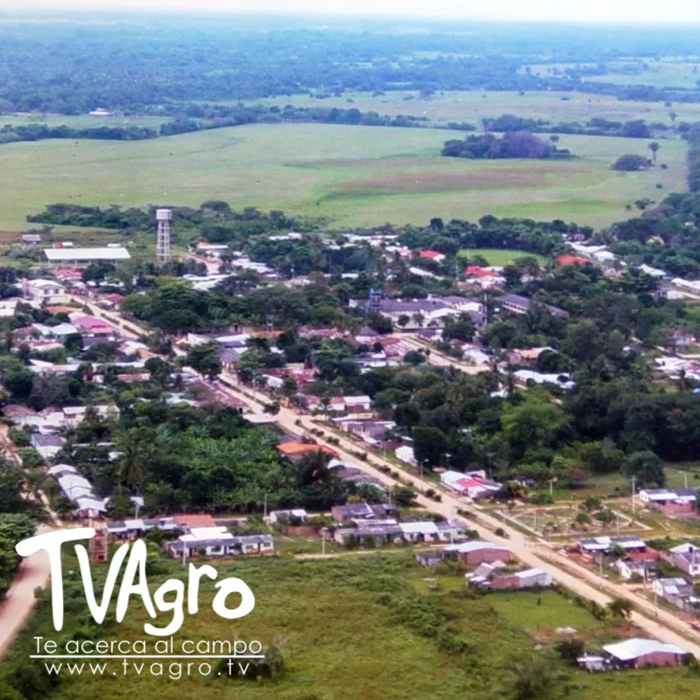 TV AGRO