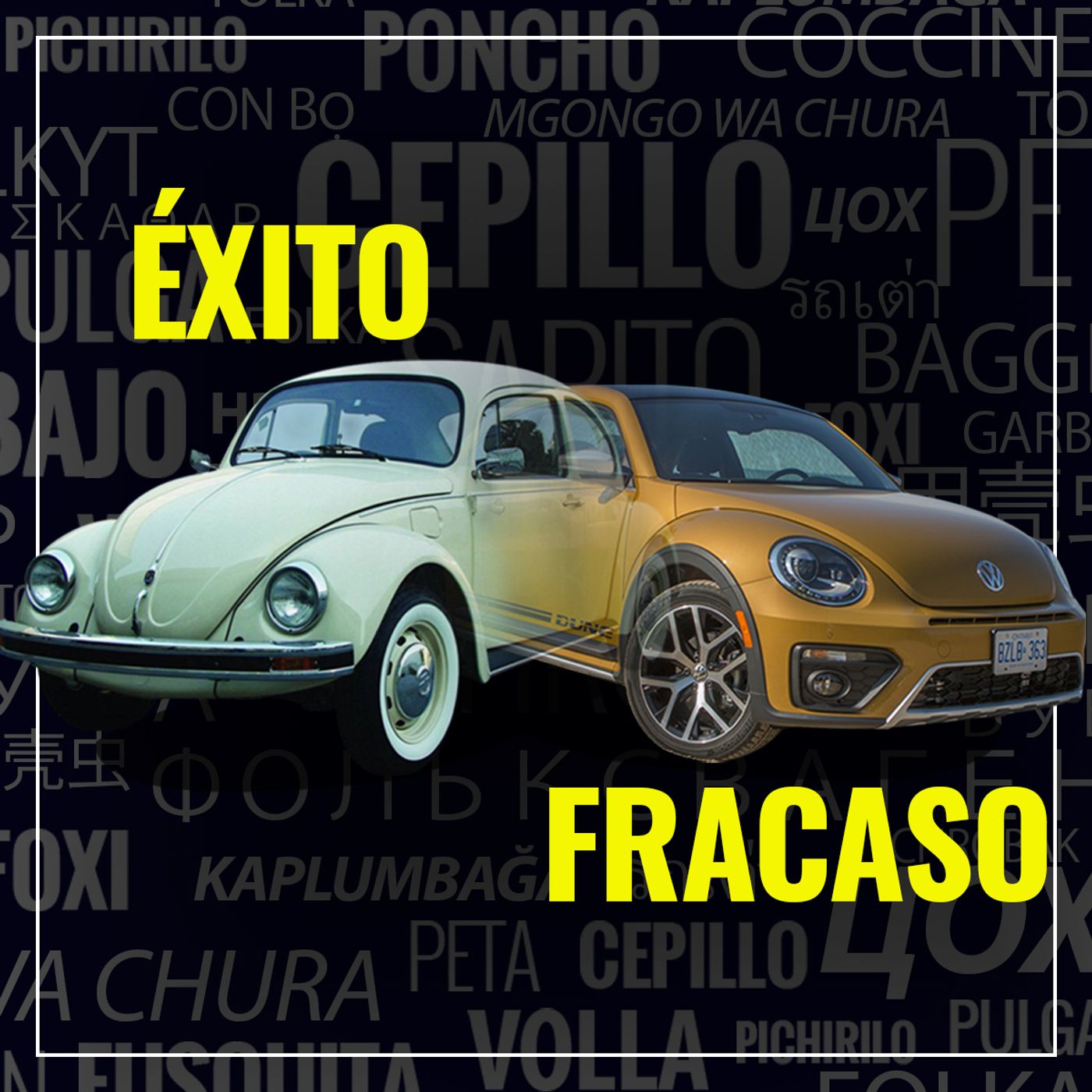 Alerta Vehiculos