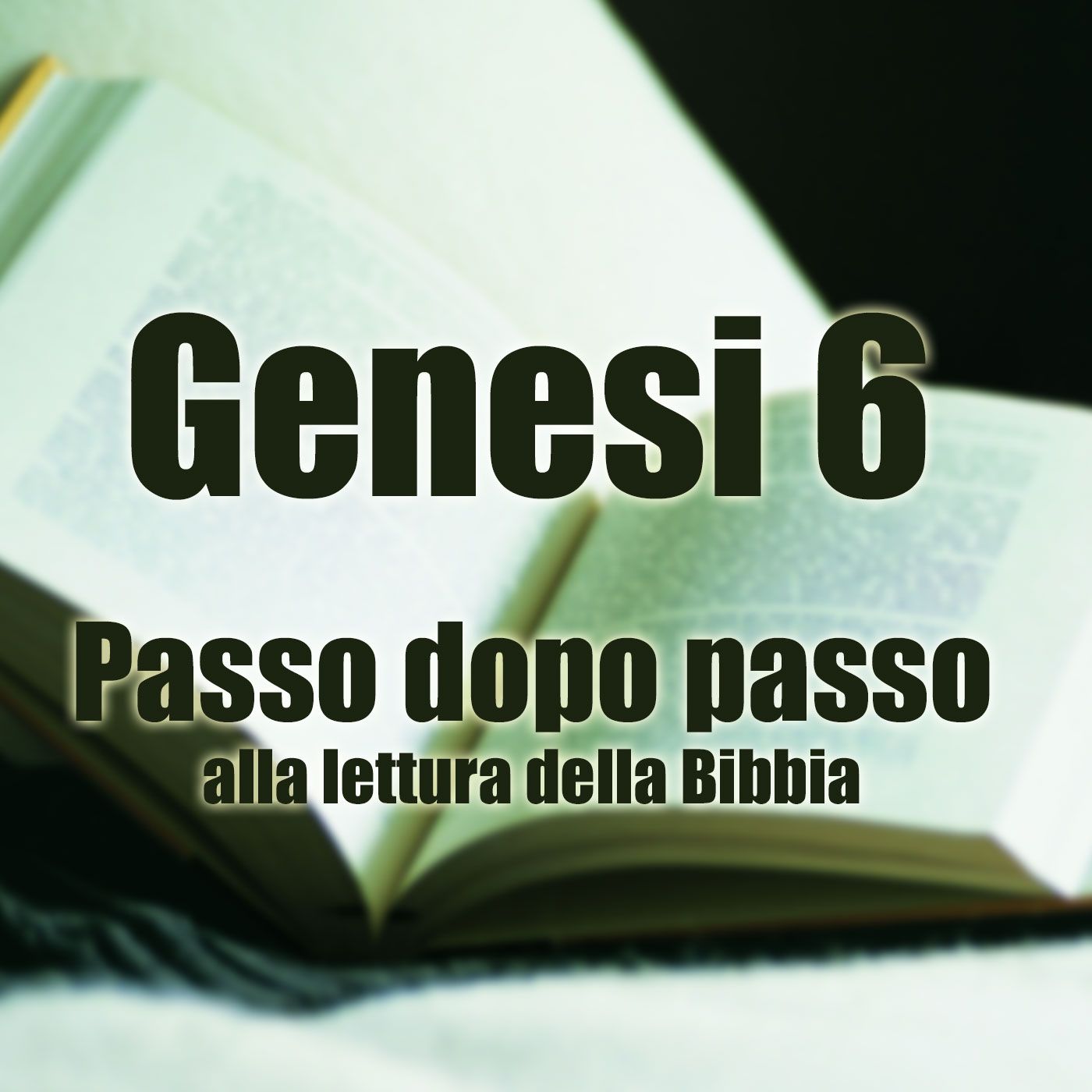 Passo dopo passo alla lettura della Bibbia