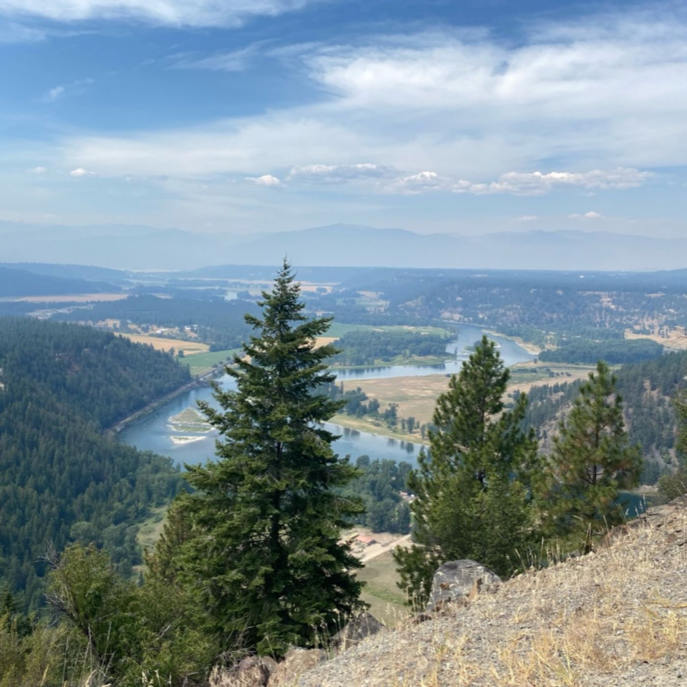 Blessed Not Depressed