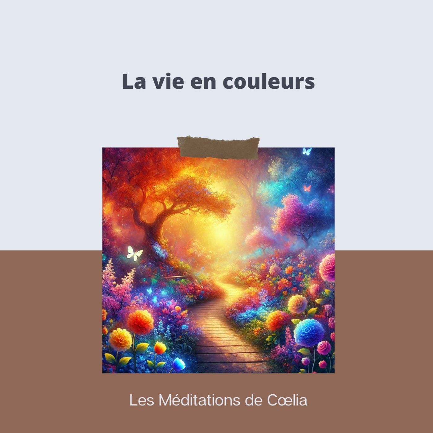 La vie en couleurs