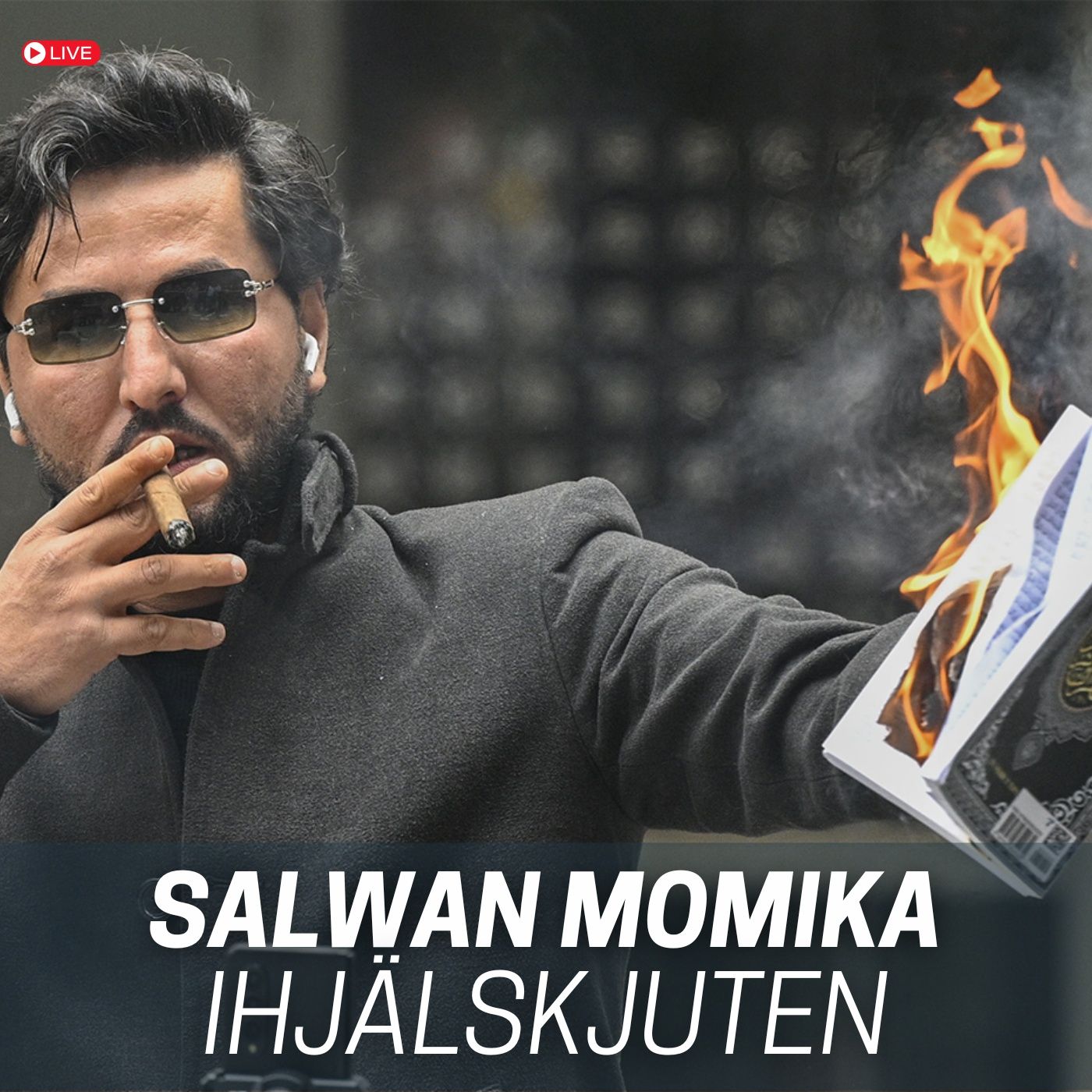Det fria Sverige