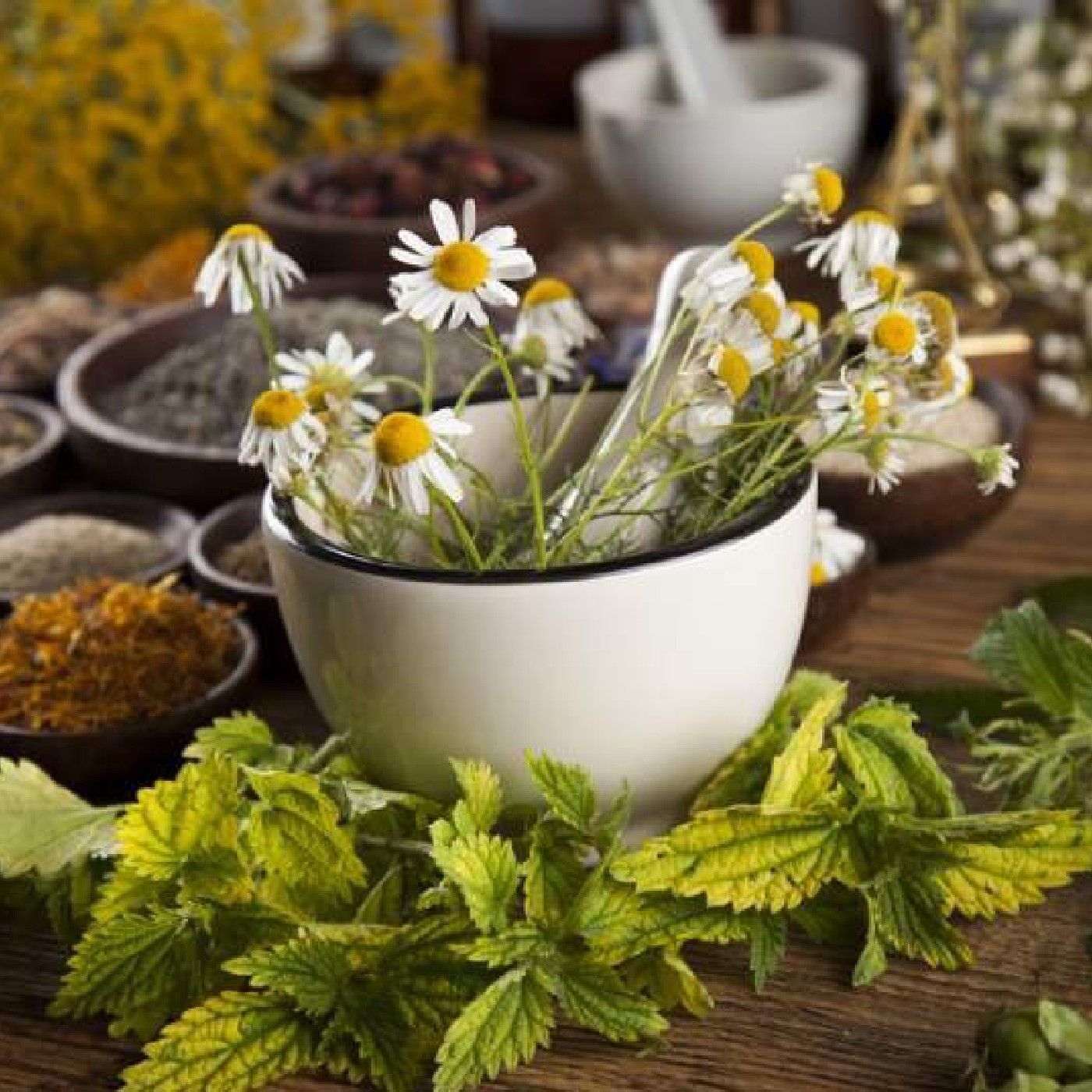 Importance of Medicinal Plants podcast artwork