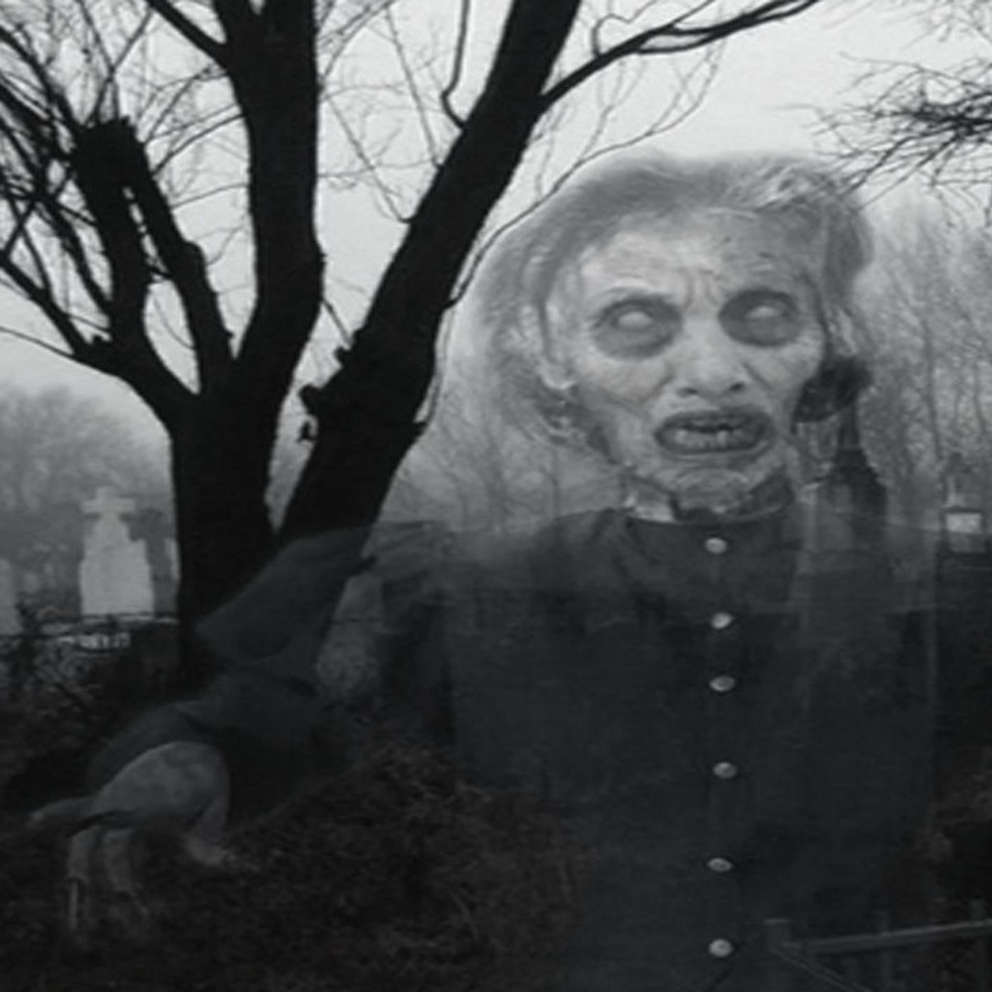 Buscaron Joyas En Una Tumba Ahora Están Malditos  Historias De Terror - Voces De La Noche