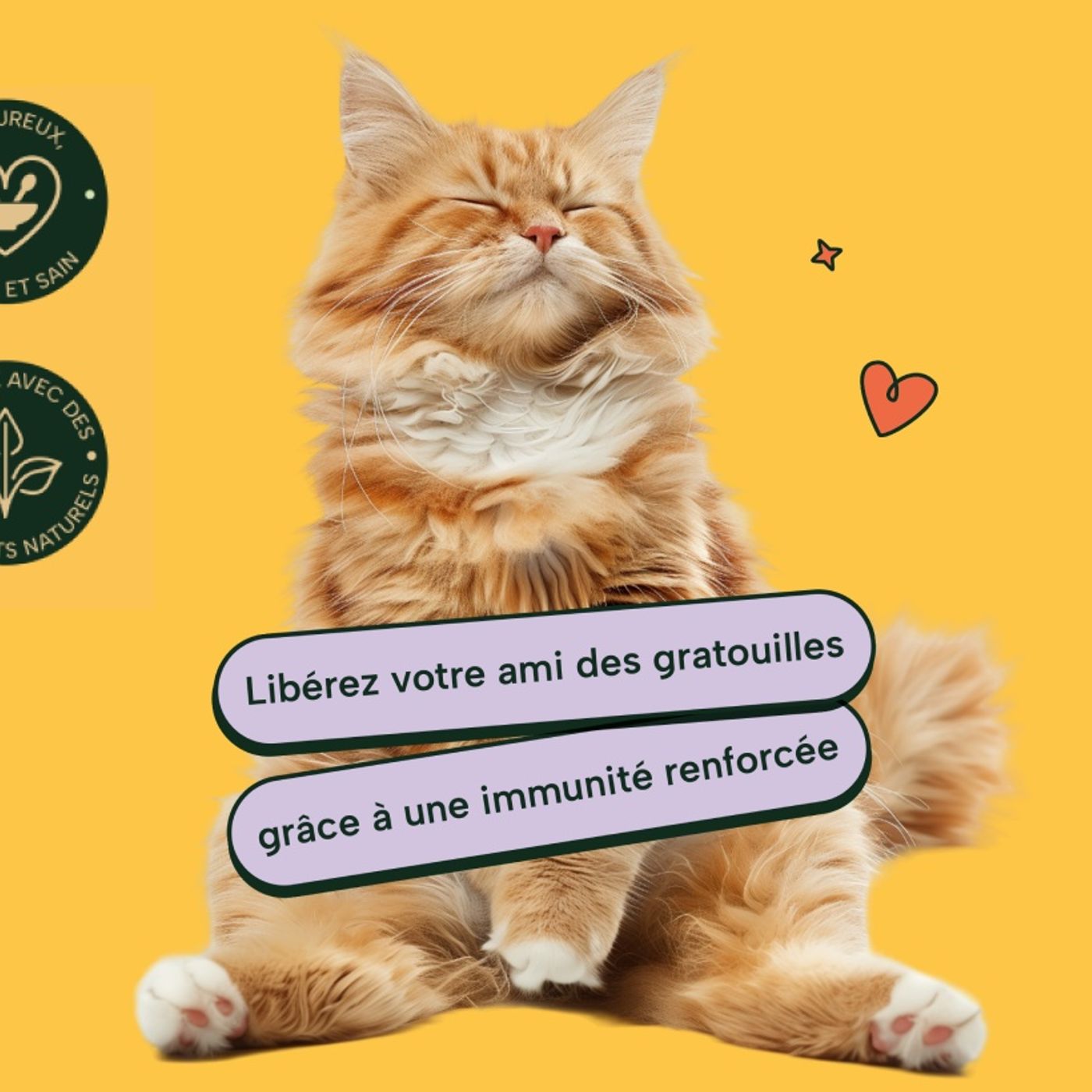 Avis vitamii cover art