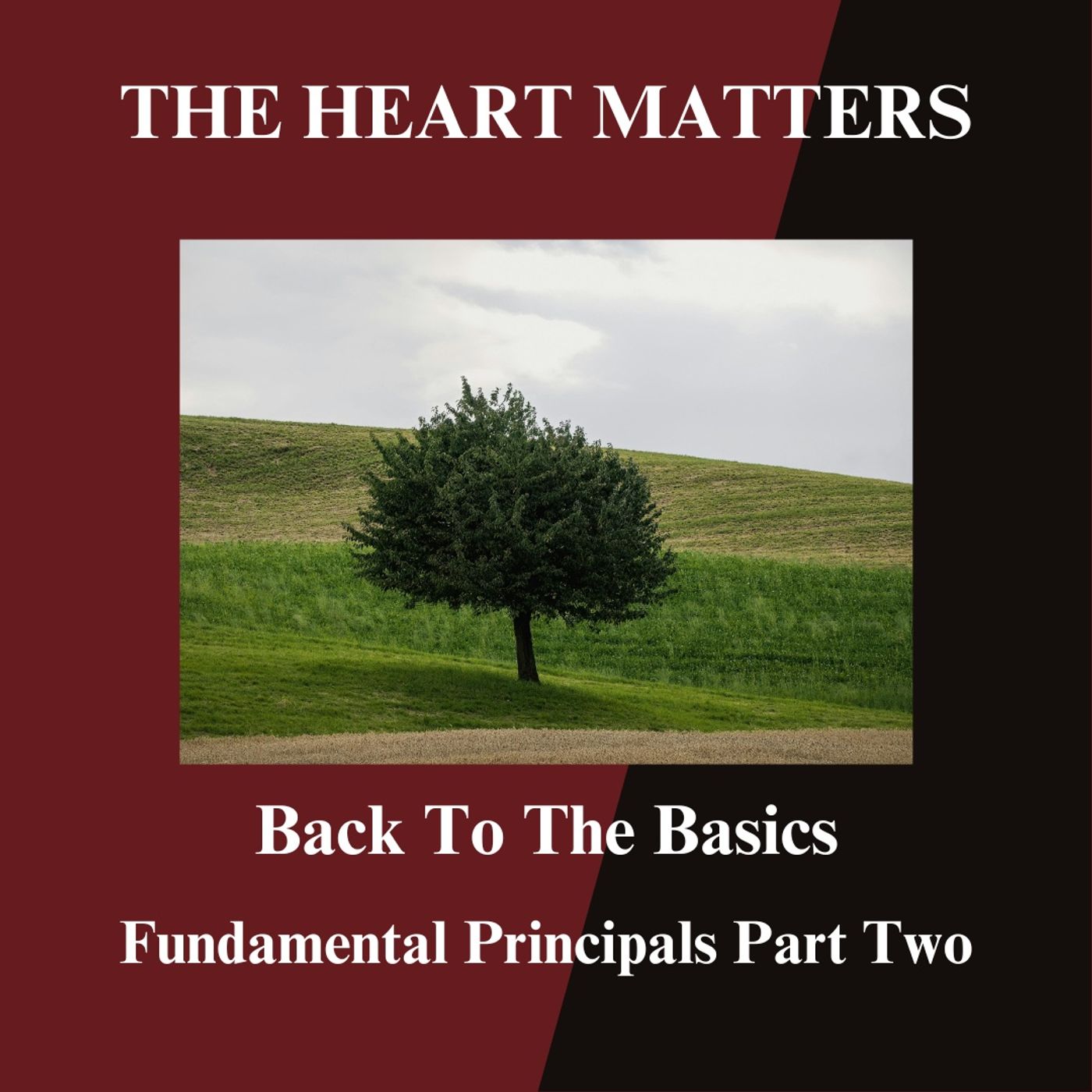 Fundamental Beliefs Two Thru Seven