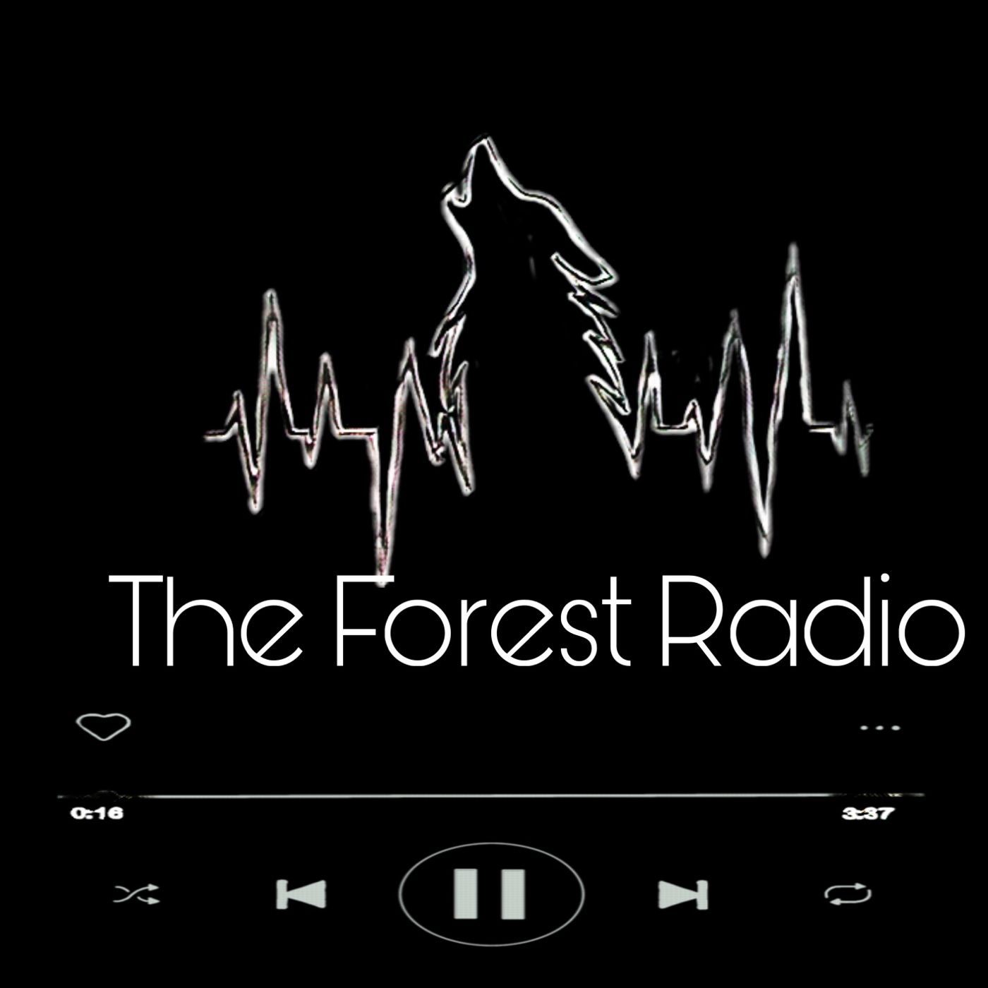 The Forest Radio's podcast podcast artwork