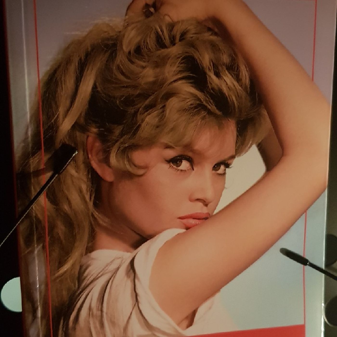 Icone : Brigitte Bardot  - BB